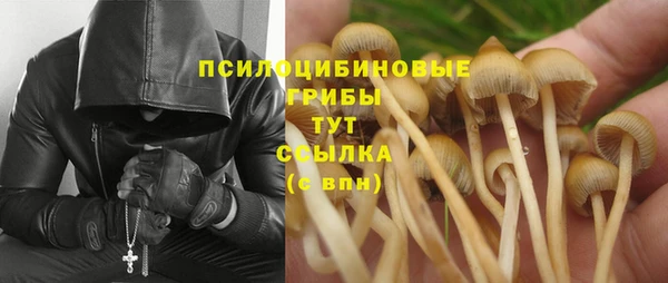 дурь Алексин