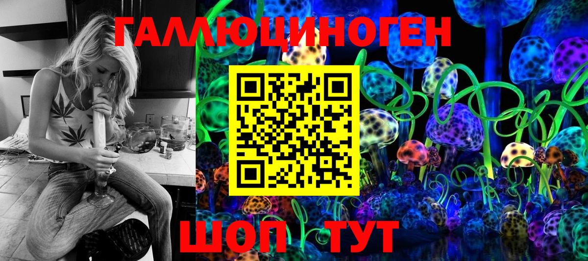 Галлюциногенные грибы Psilocybine cubensis Междуреченск