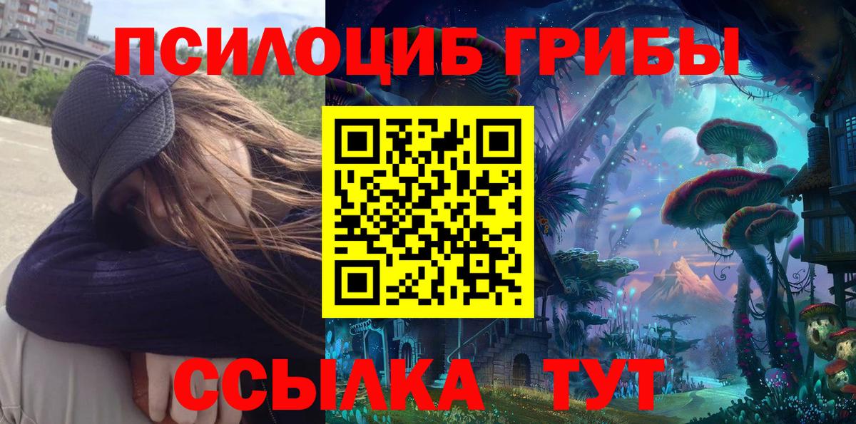 Междуреченск  Псилоцибиновые грибы прущие грибы  Галлюциногенные грибы MAGIC MUSHROOMS  где найти наркотики  Вход с VPN 